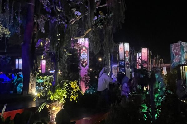 WhatsApp Image 2025-11-19 at 12.42.55