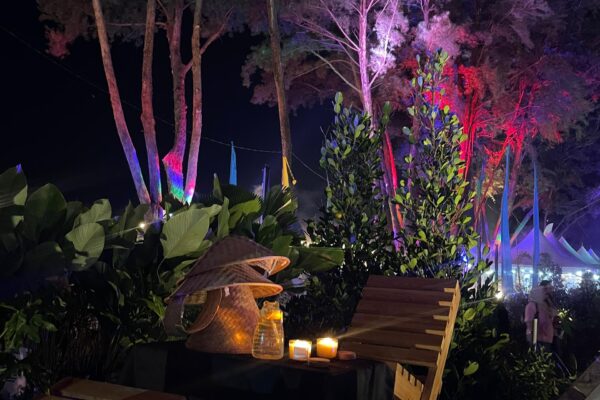 WhatsApp Image 2025-11-19 at 12.42.57